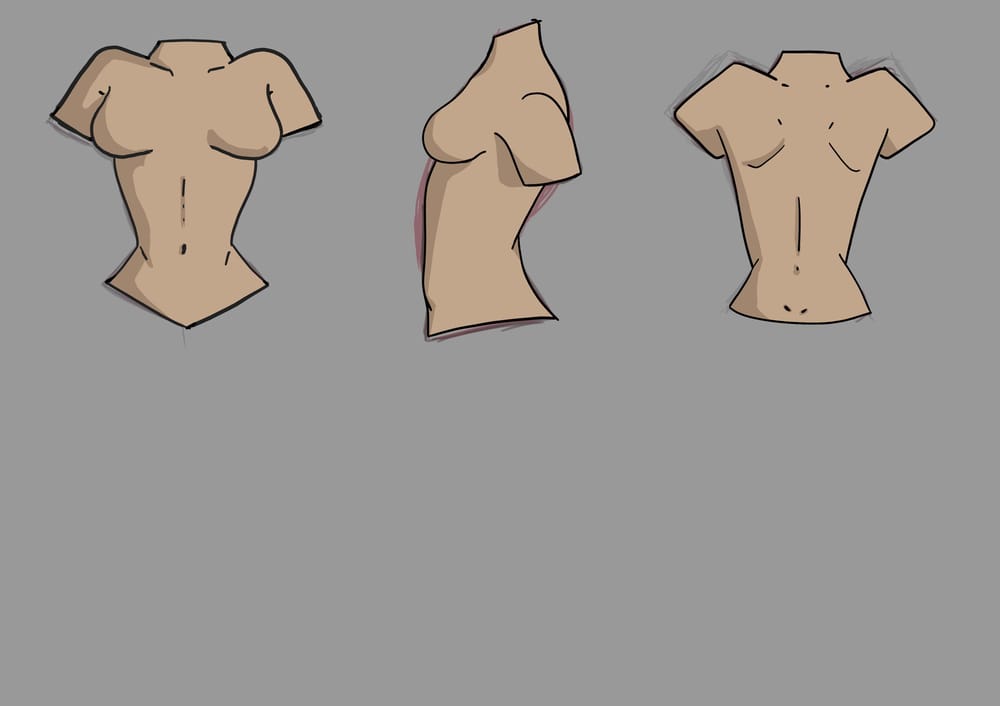 Female Torso Practice - image 1 - student project