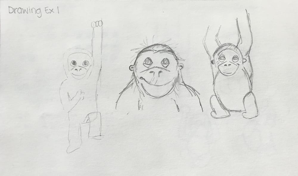 Monkeying Around - image 2 - student project