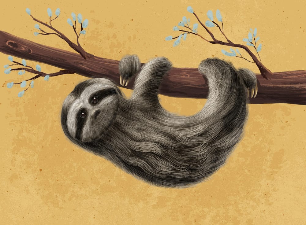 Learning to draw fur! - image 1 - student project