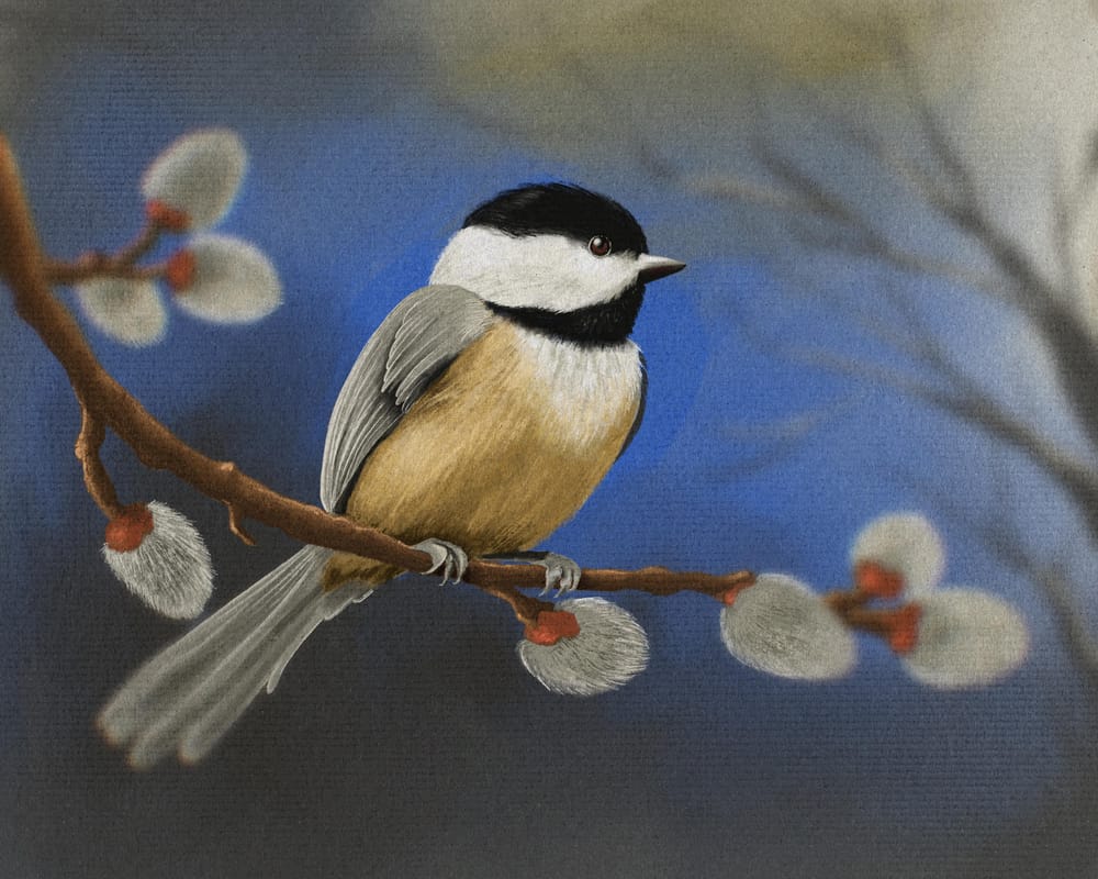 Pastel Texture Bird - image 1 - student project