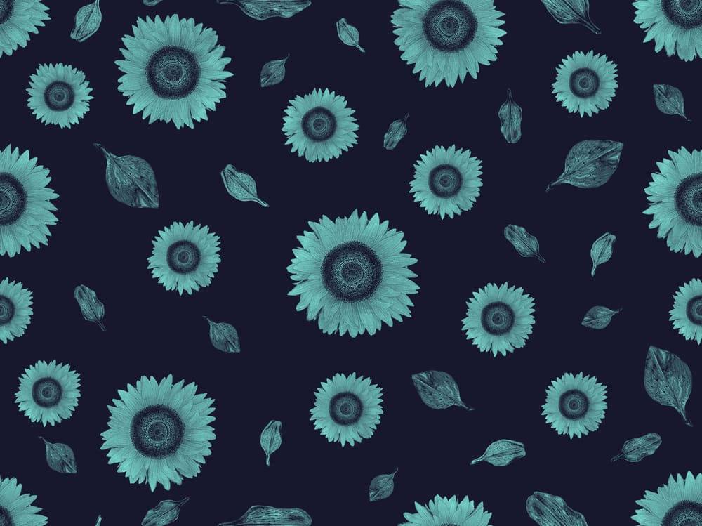 For the Love of Sunflowers - image 1 - student project