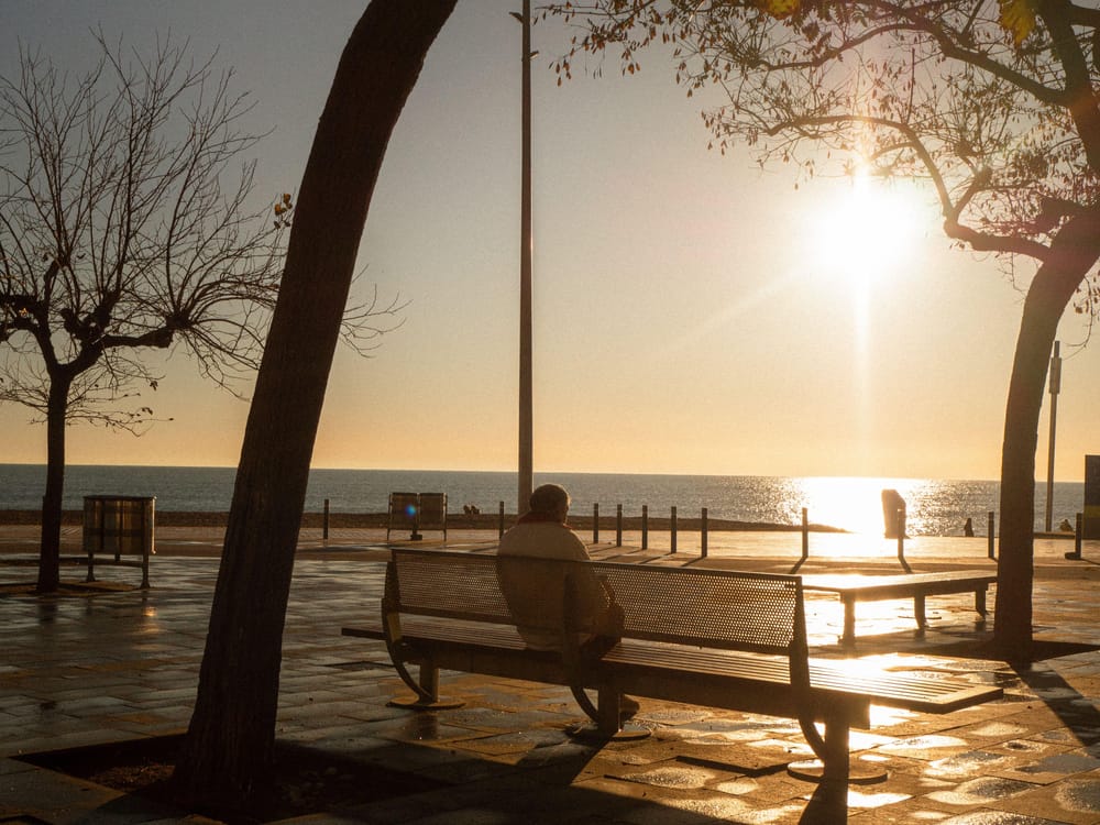 Sunny melancholy through my heart - image 1 - student project