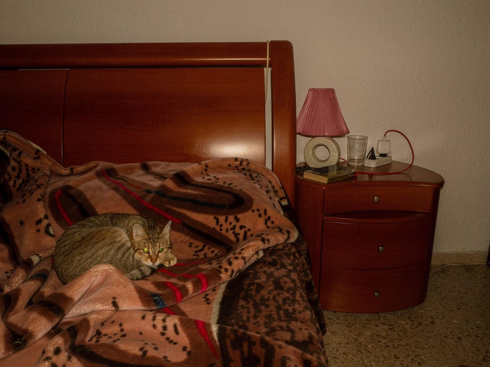 Sunny melancholy through my heart - image 6 - student project