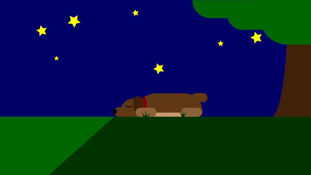 My Illustrator Projects - image 1 - student project