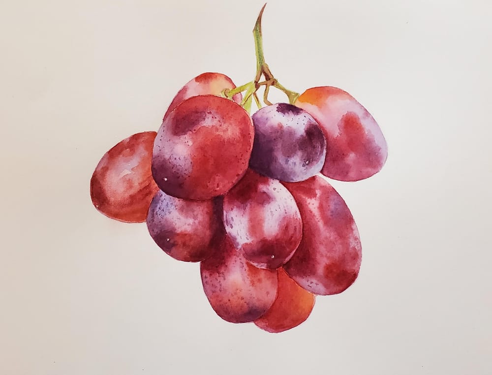 Grapes - image 1 - student project