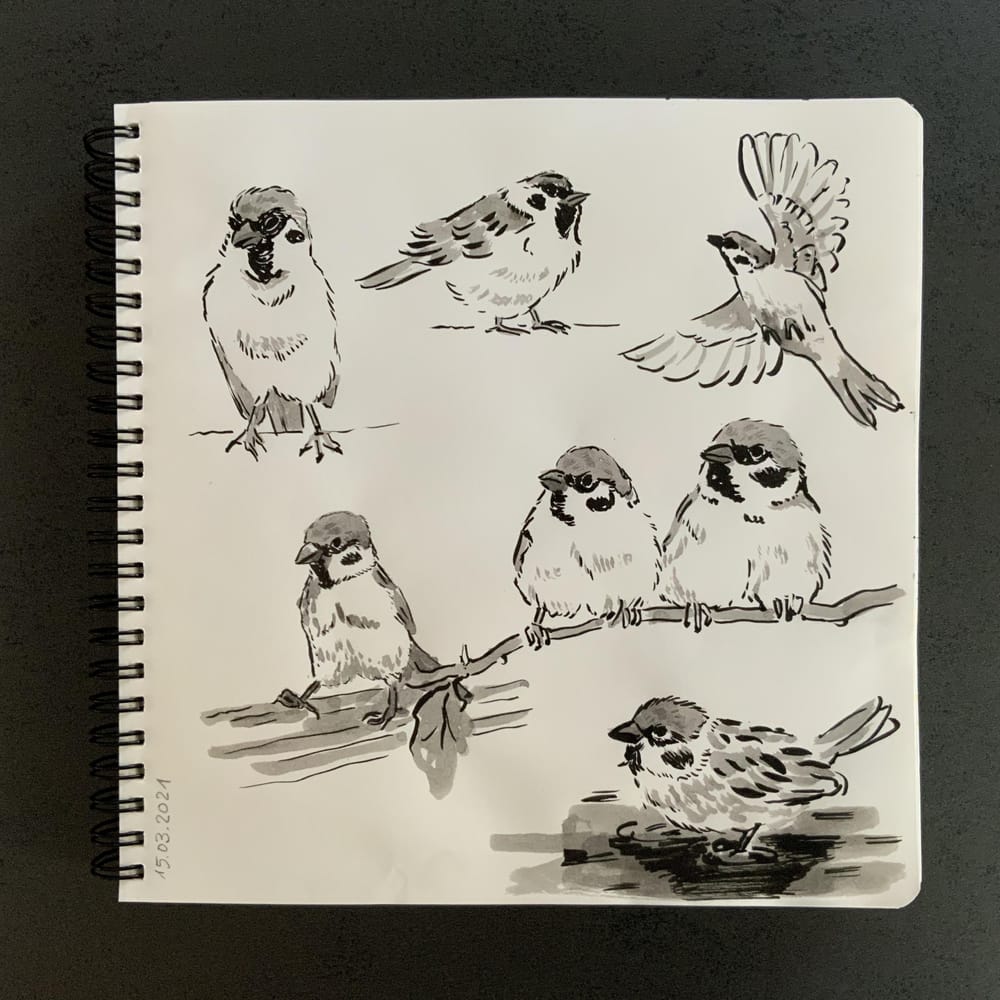 Having fun with my sketchbook - image 4 - student project
