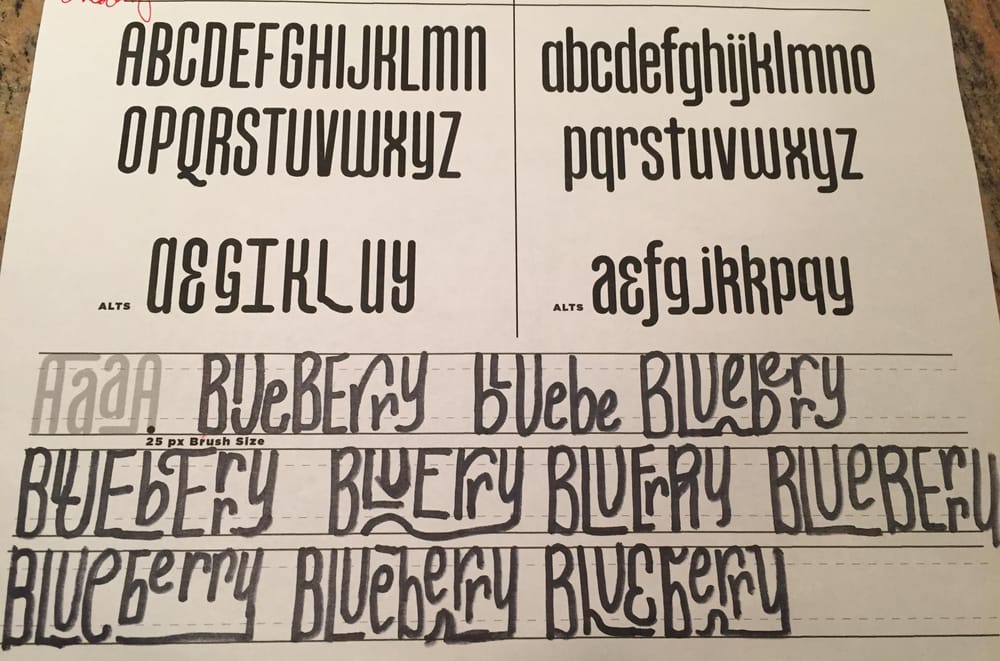 Blueberry - image 1 - student project