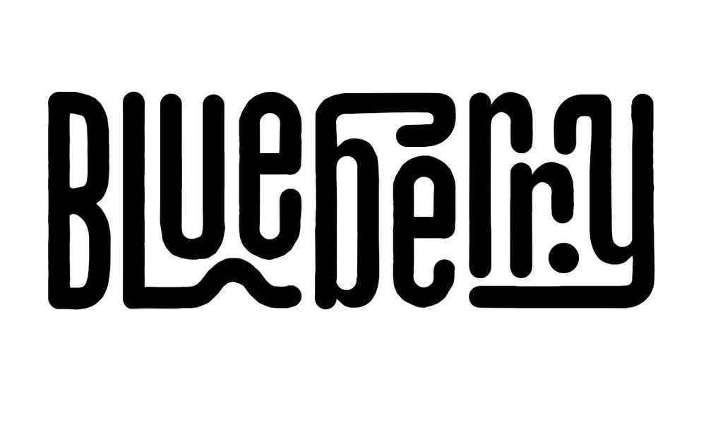 Blueberry - image 3 - student project