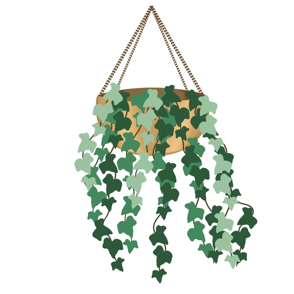 House Plants Repeat - image 1 - student project