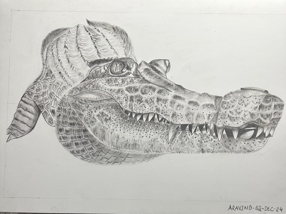 Croc - image 1 - student project