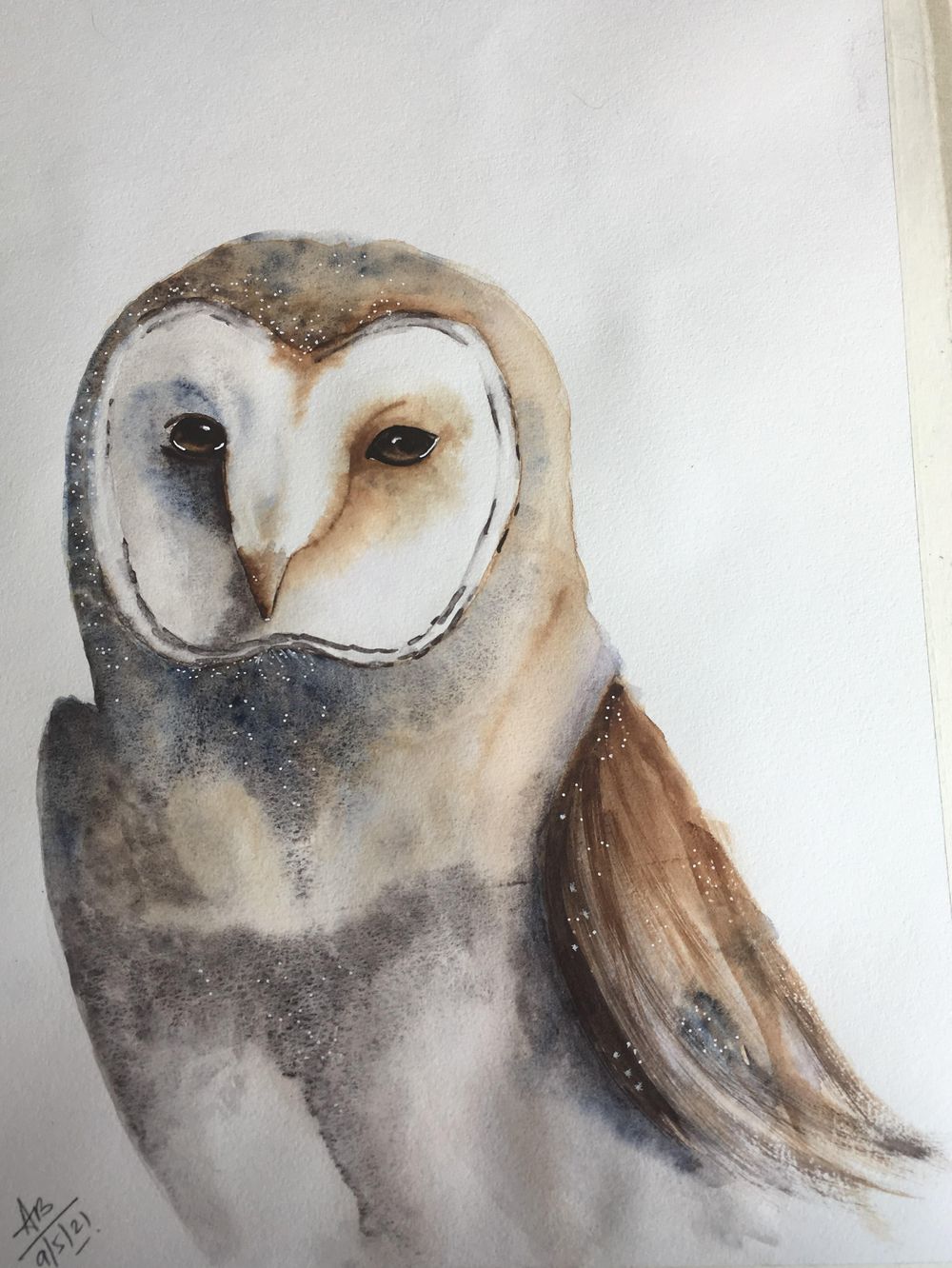 Barn Owl - image 1 - student project
