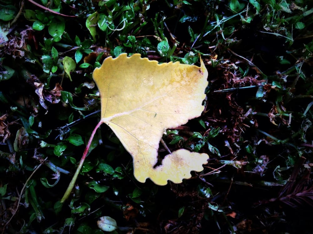 Week 2 - image 5 - student project