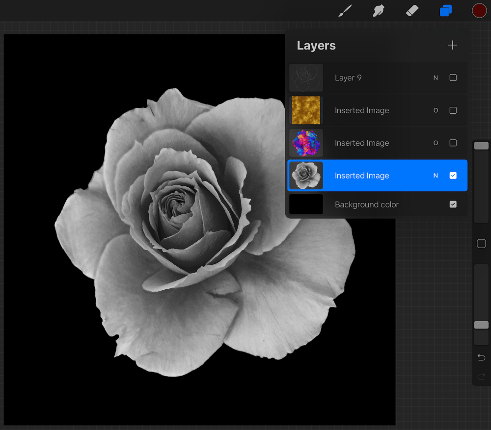 Colourful rose - image 1 - student project