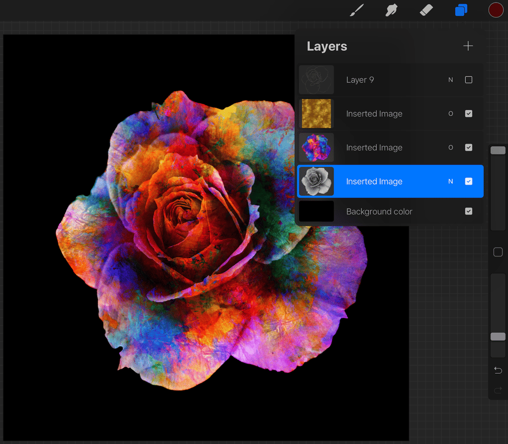 Colourful rose - image 3 - student project