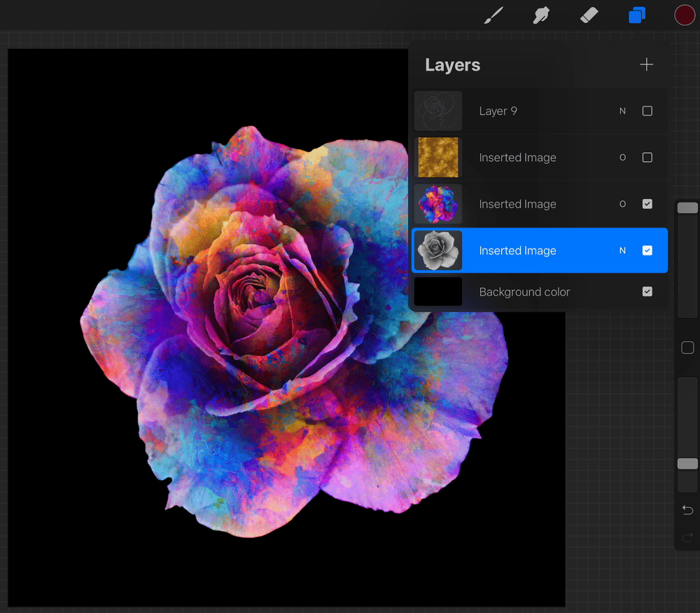 Colourful rose - image 2 - student project