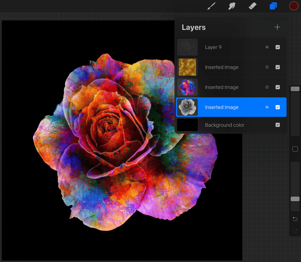 Colourful rose - image 4 - student project