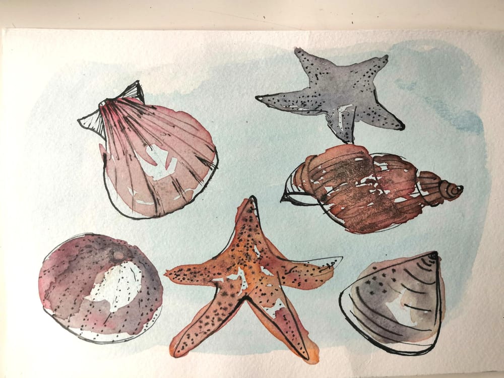 Ink and Watercolor Adventure - image 5 - student project