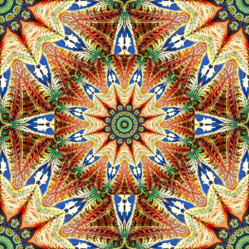 Kaleight - image 1 - student project