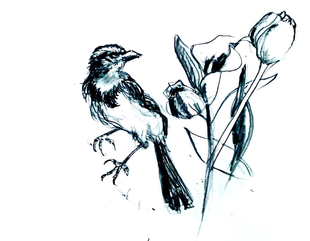 Drills - image 1 - student project