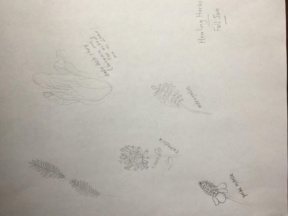 Illustrate from Sketches: Inspiration Board - image 3 - student project