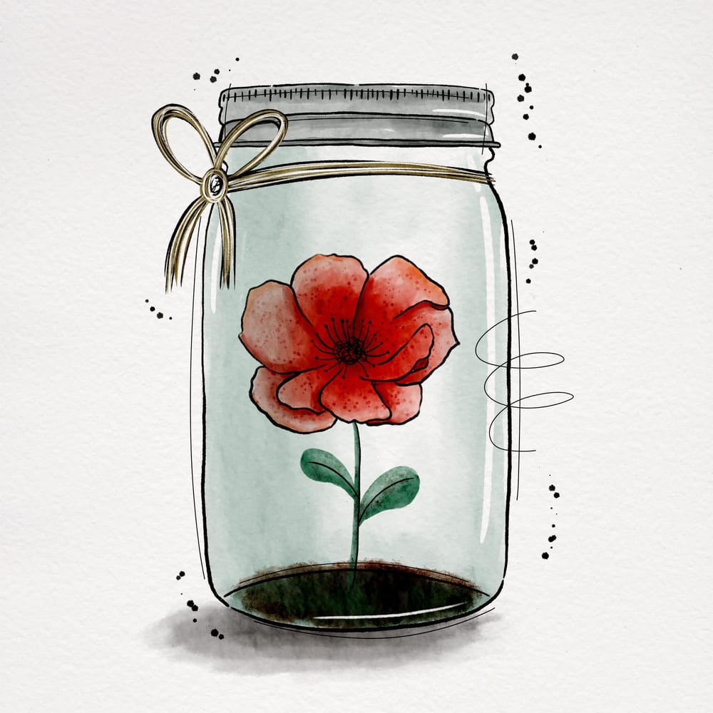 Jars & Bottles - image 1 - student project