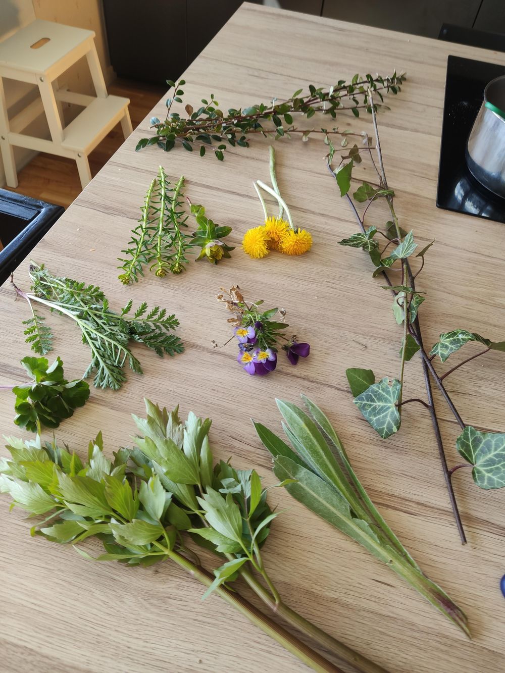 Spring arrangement - image 1 - student project