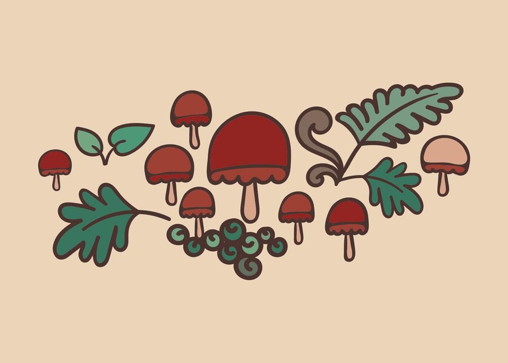 Mushroom Forest - image 4 - student project