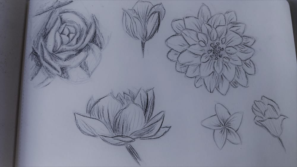 Magical Sketchbook - image 3 - student project