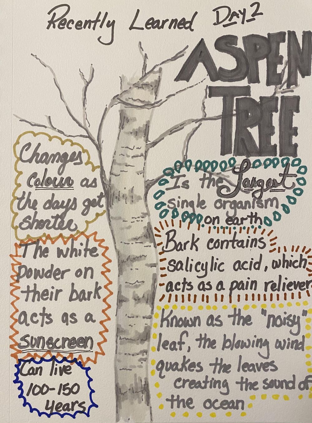 Illustrated Journaling: 14 Days of Prompts - image 2 - student project