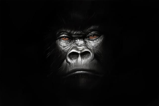 Gorillas - image 1 - student project