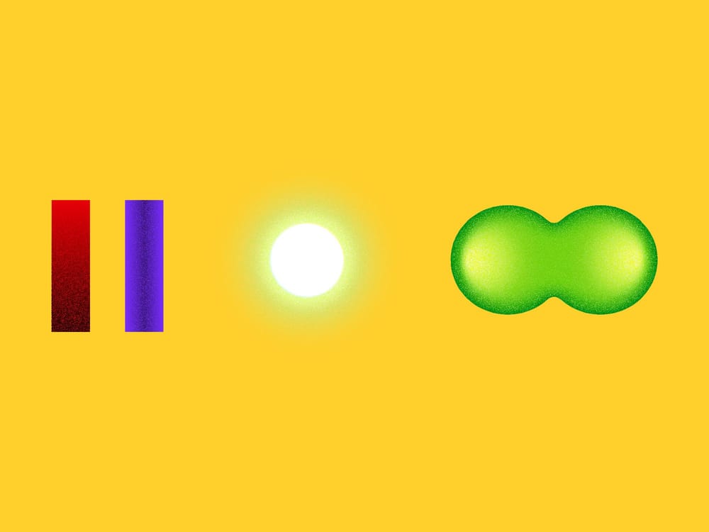 Who Still Likes Apples Anyway? - image 1 - student project