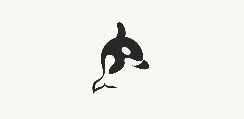 ORCA - image 3 - student project