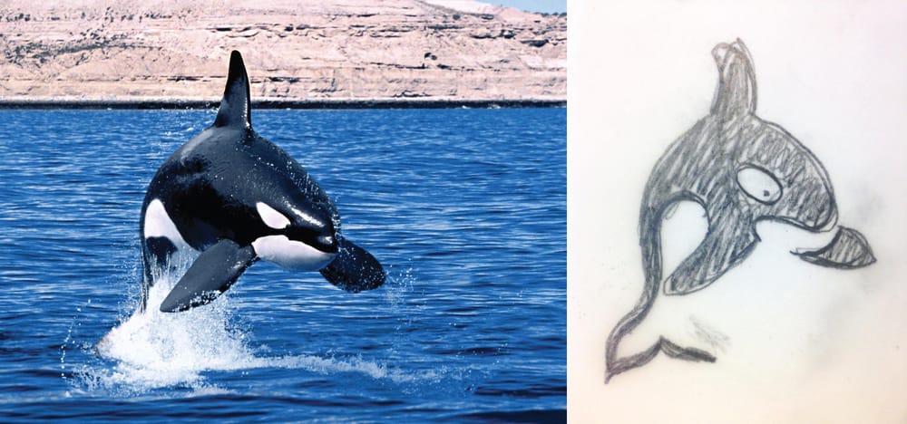 ORCA - image 1 - student project