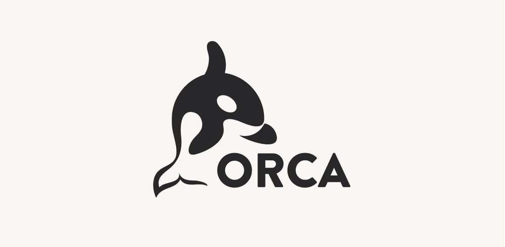 ORCA - image 4 - student project