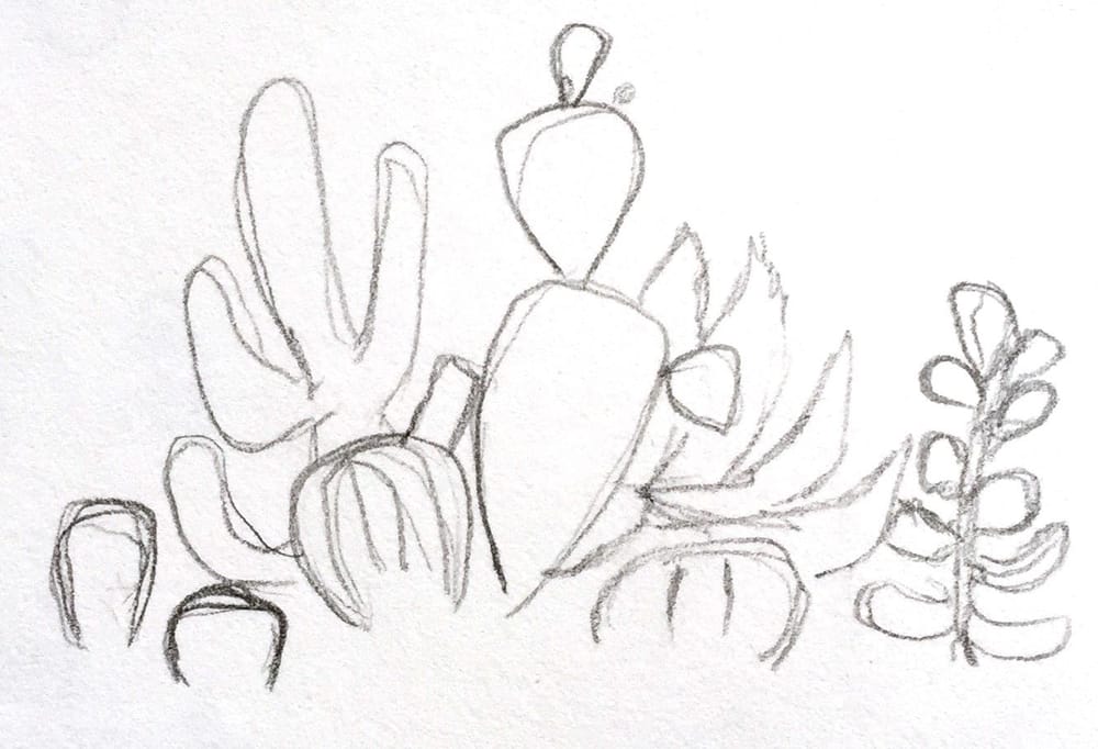 Modern Watercolor...Succulents - image 1 - student project