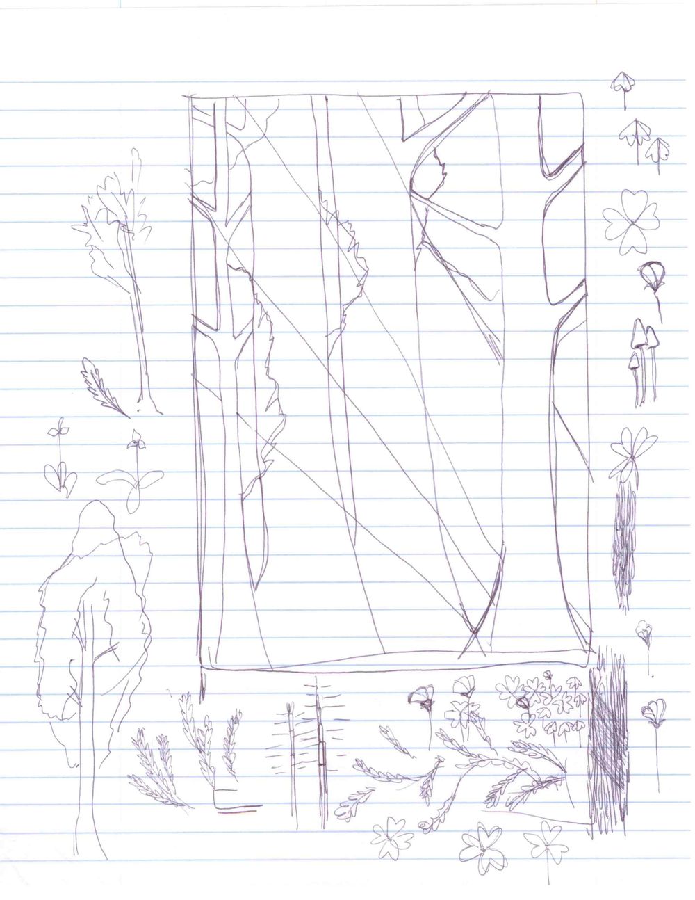 Quiet: Redwoods - image 2 - student project
