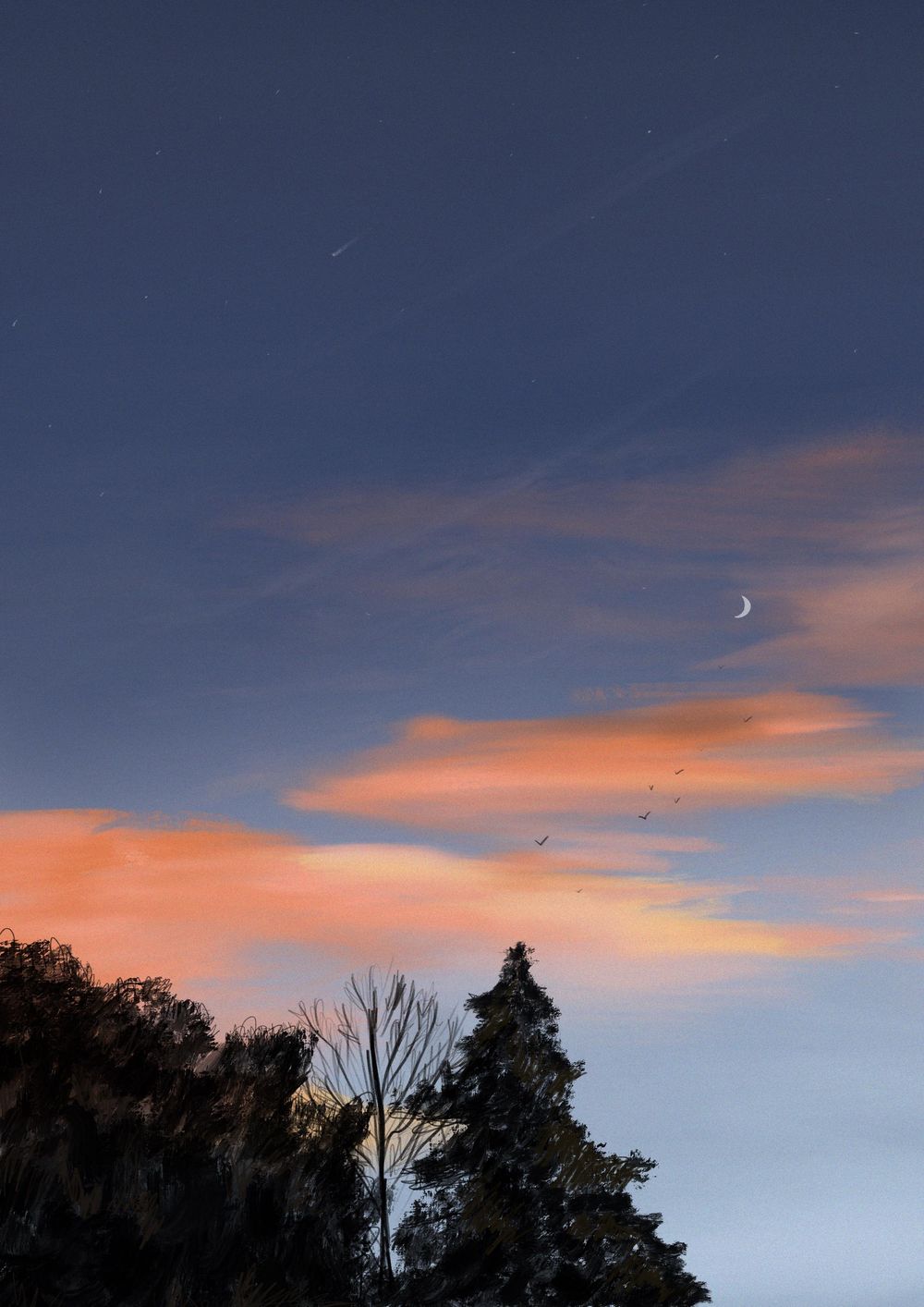 Sky - image 1 - student project