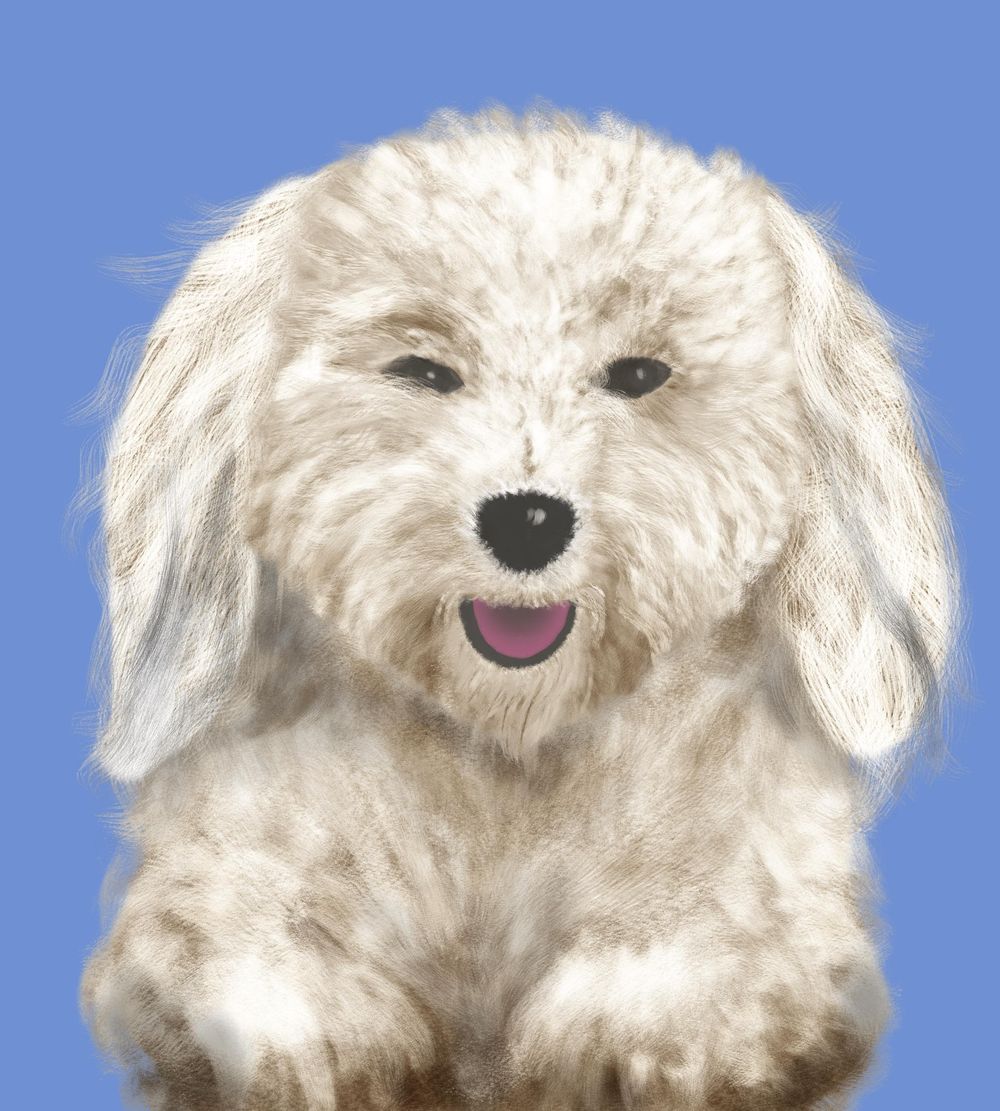 How to draw fur in Procreate - image 1 - student project