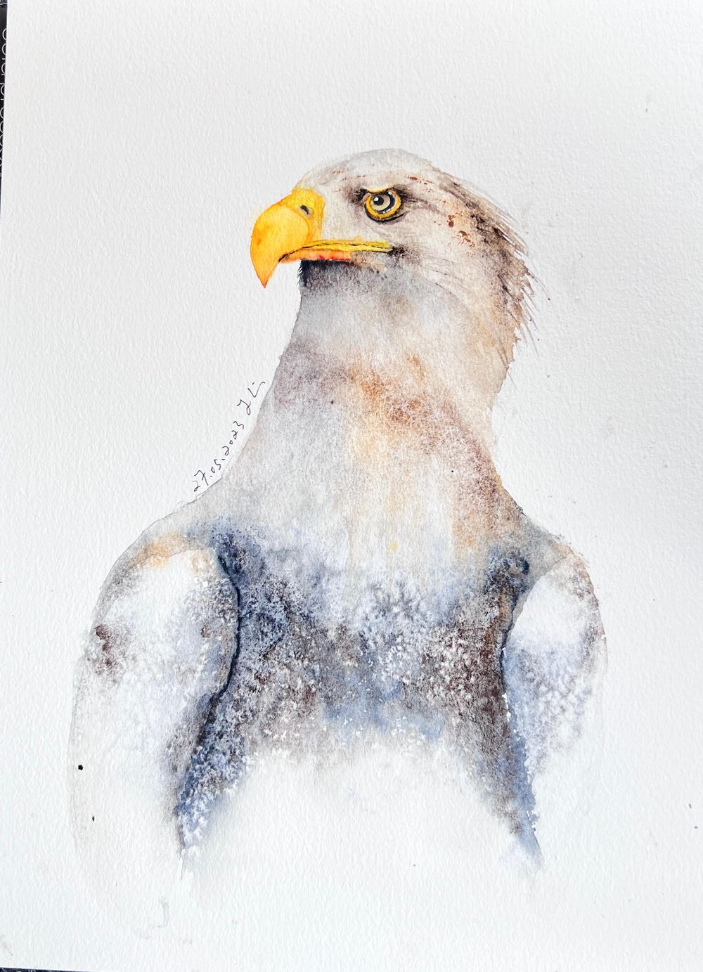 Mr. Eagle - image 1 - student project
