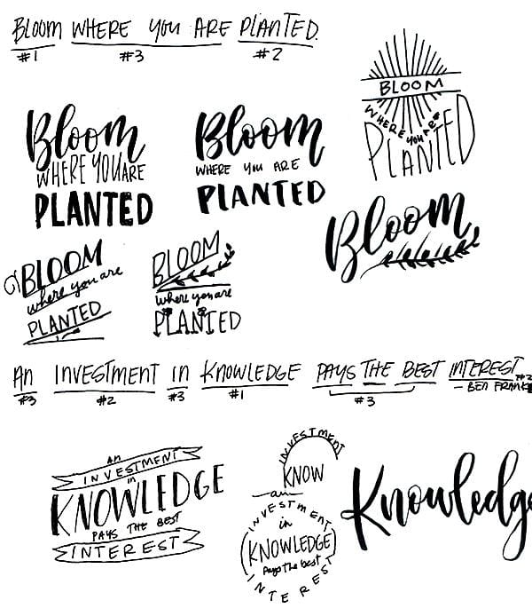 Bloom Where You Are Planted - image 1 - student project