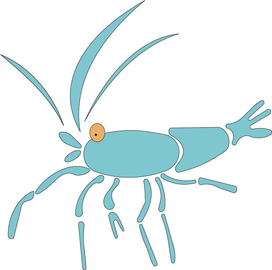 Shrimp pet illustration - image 1 - student project