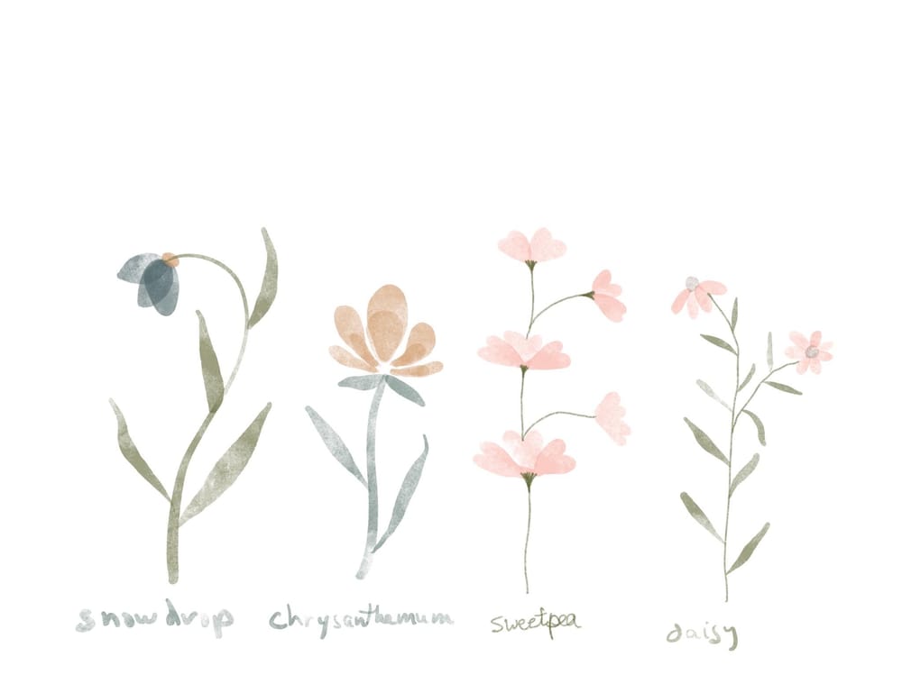 Floral Fun - image 1 - student project