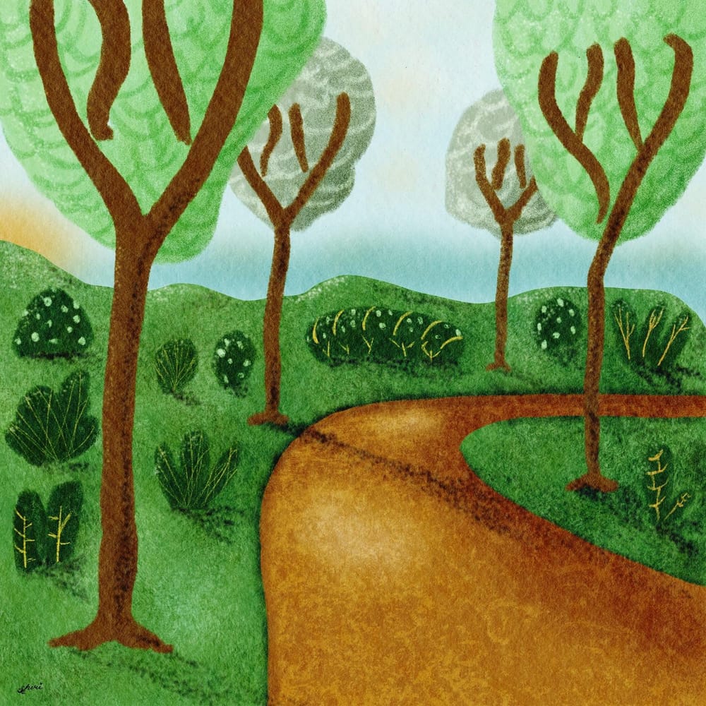 Fun in the Woods - image 3 - student project
