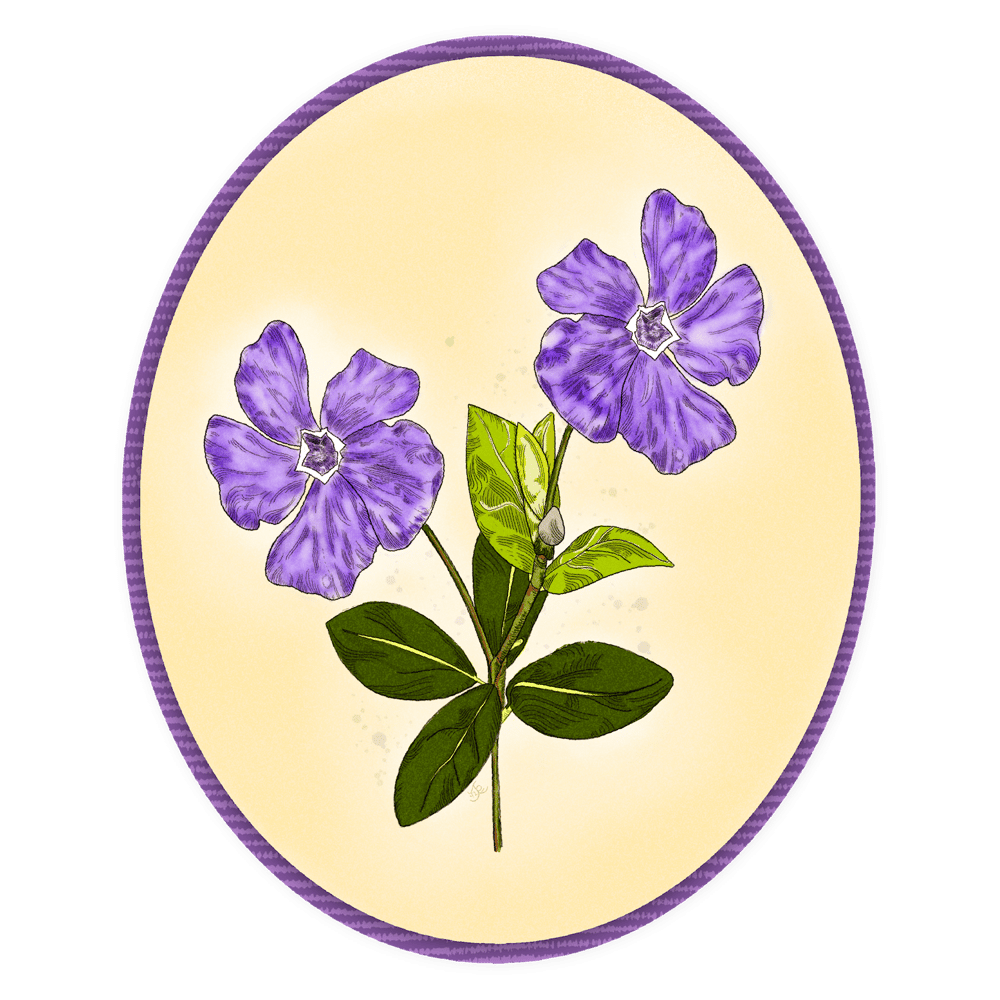 Periwinkle Purple - image 2 - student project