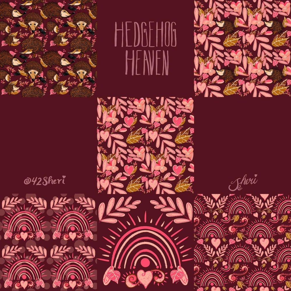 Hedgehog Heaven - image 2 - student project