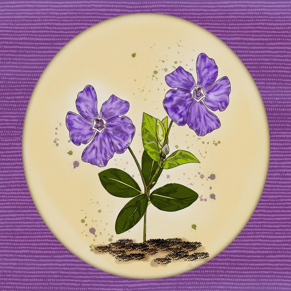 Periwinkle Purple - image 1 - student project