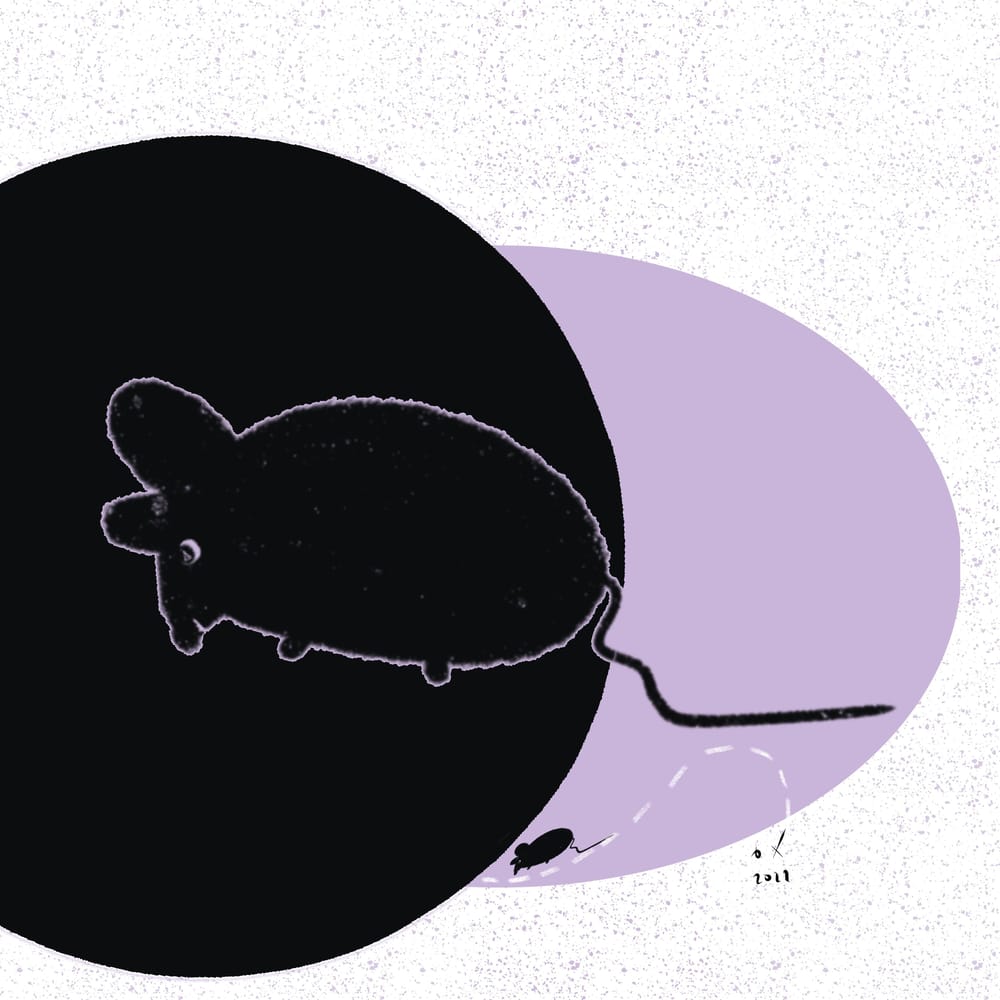 Mouse - image 1 - student project