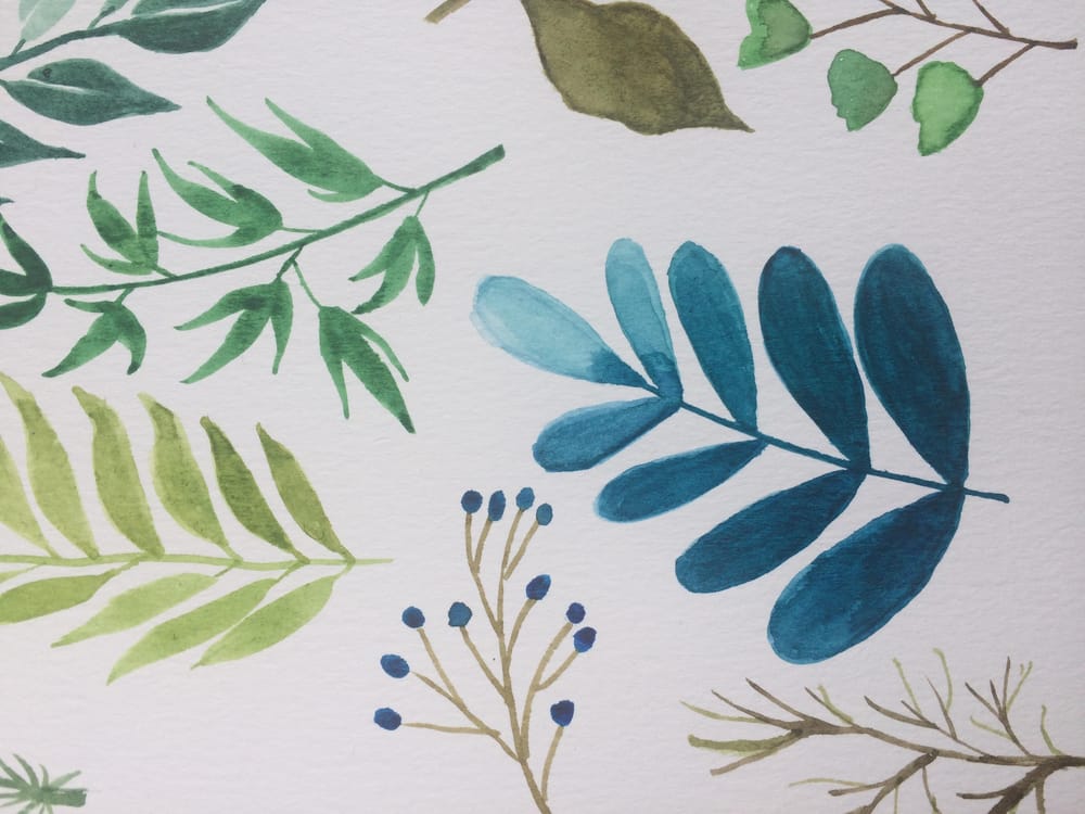 Assorted Leaves - image 2 - student project