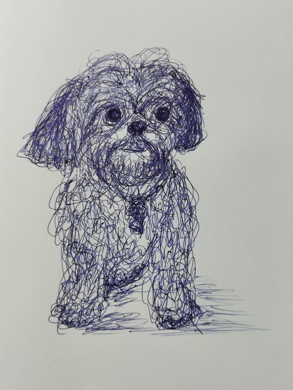 Drawing Dogs - image 2 - student project