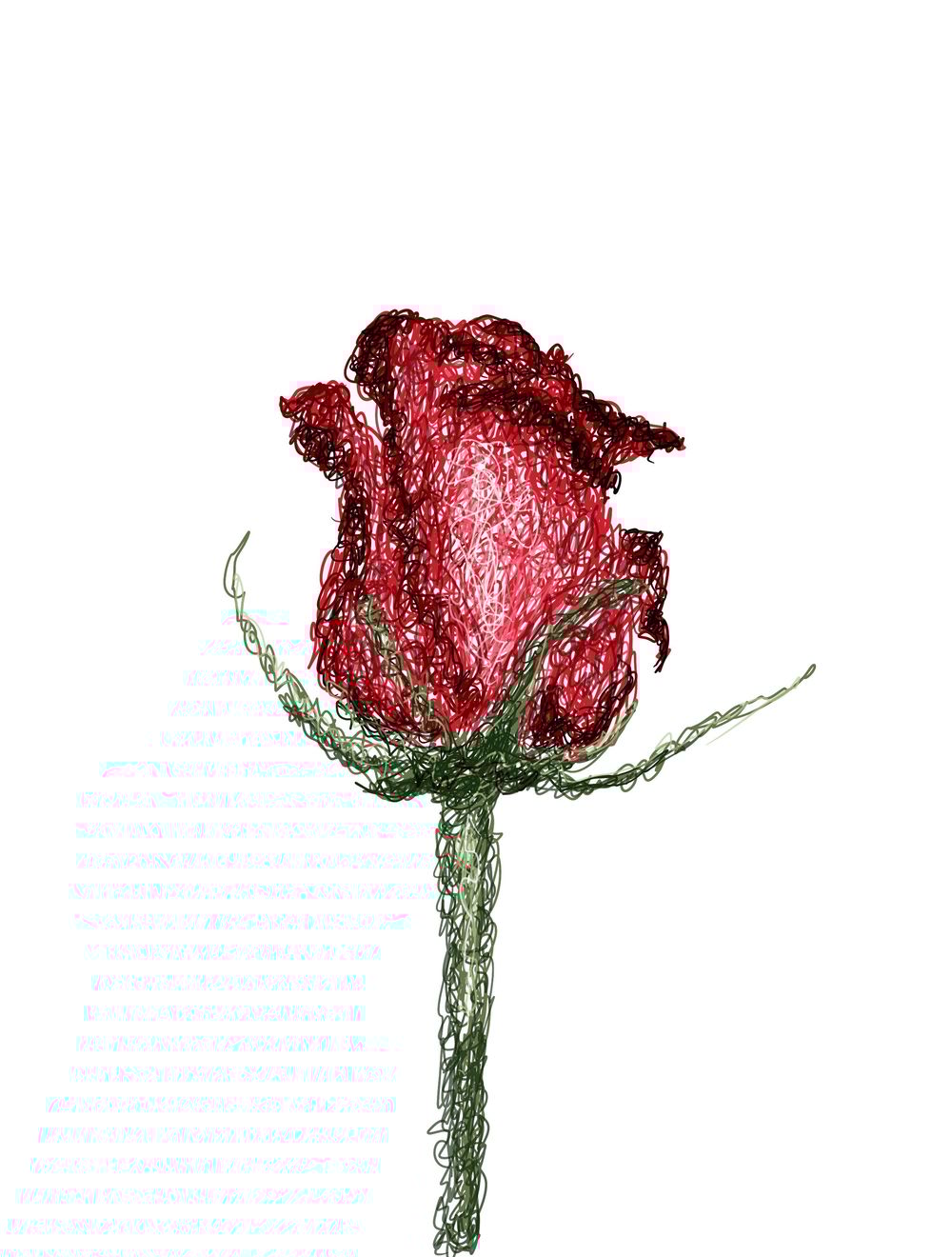 Scribble fun - image 2 - student project